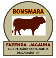 gallery/logo_bonsmara